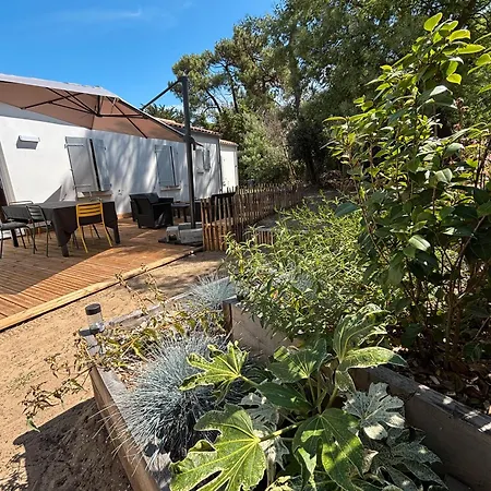 Semesterbostad Charmante Maison Et Foret