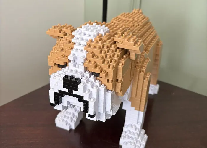 Charmante Maison Et Foret